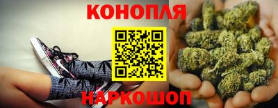 гашик Жуковский