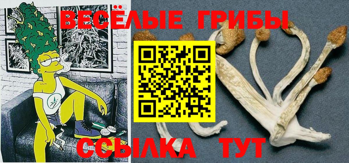 Кызыл  Галлюциногенные грибы MAGIC MUSHROOMS  Вход с VPN  Галлюциногенные грибы MAGIC MUSHROOMS 